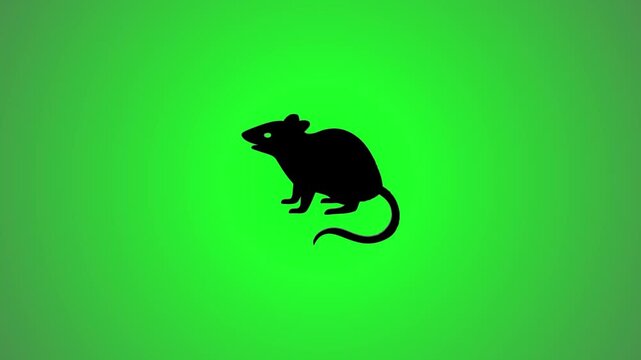 Silhouette of rat moving on green background with subtle shadow effect