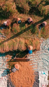 Aerial view of the lush Tegalalang Rice Terraces in Bali, Indonesia, surrounded by tropical forest and palm trees, showcasing traditional Balinese farming and the ancient subak irrigation system.