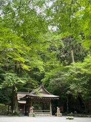Obraz premium gazebo in the park