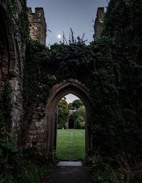 Ancient Castle Ruins Archway Leading to a Lush Green Garden Under a Full Moon.