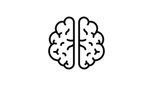 A captivating outline icon animation of human brain anatomy