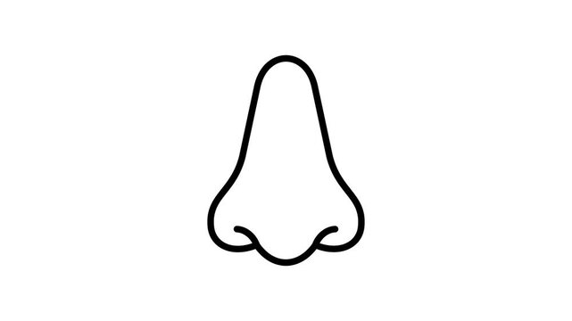 A visually engaging outline icon animation of human nose