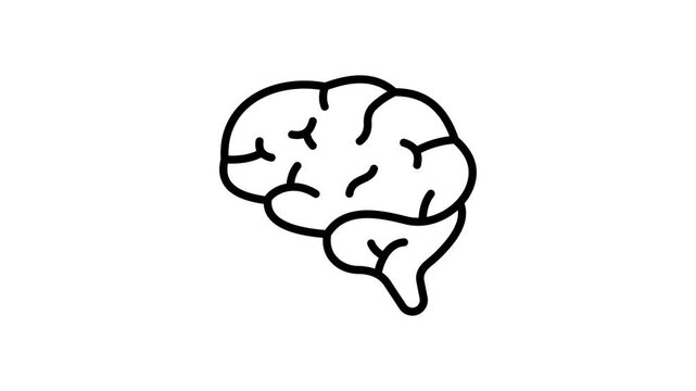 An editable outline icon animation of brainstem nervous system