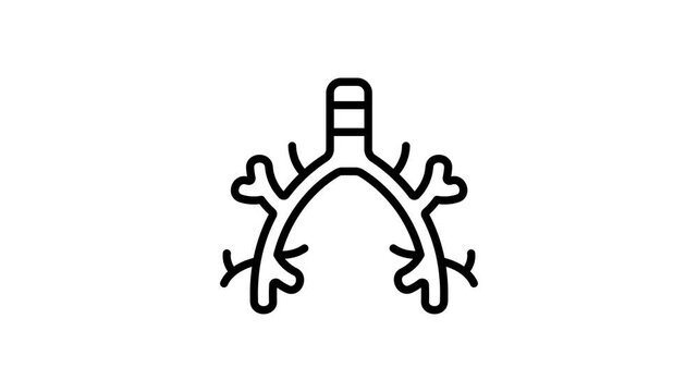 Grab this outline icon animation of bronchus system