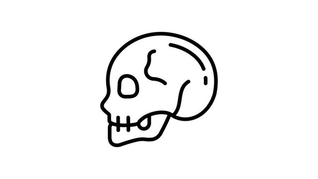 A captivating linear icon animation of human skull side