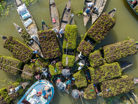 Aerial view of boats laden with vibrant green produce clustered together, a bustling floating market scene unfolds on the tranquil waters, Barishal, Barisal Division, Bangladesh.