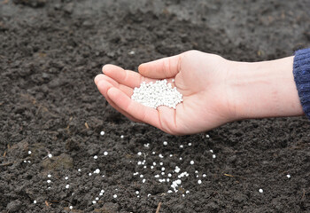 Nitrogen Fertilizer Price Rising Granules