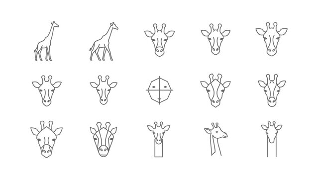 Set of vector outline icons of giraffes, different poses and views, giraffe head logo icon