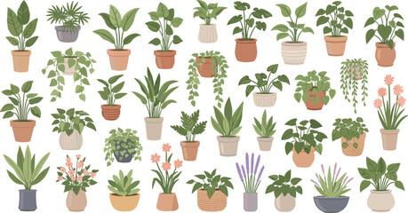 Cartoon Indoor Houseplants Collection with Potted Green Foliage Hanging Vines Blooming Flowers and Succulents for Botanical Home Decor Vector Design © MdMunzurul