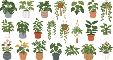 Cartoon Indoor Houseplants Collection with Potted Tropical Green Plants Hanging Vines and Decorative Planters for Home Decor Botanical Vector Illustration © MdMunzurul