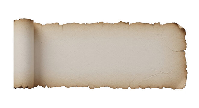 A vintage papyrus scroll with tattered edges and a rolled side for historical document display