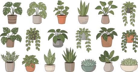 Cartoon Indoor Houseplants Collection with Potted Tropical Foliage Hanging Vines and Succulent Planters for Home Decor Botanical Vector Illustration Set © MdMunzurul