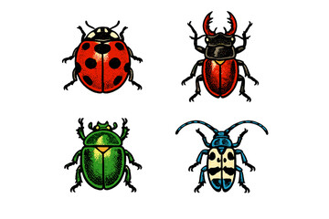 Set of four diverse beetle species including a ladybug and stag © Mark