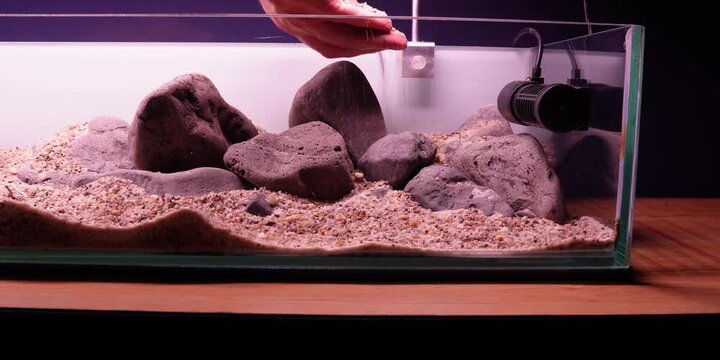 Aquascaping shallow aquarium