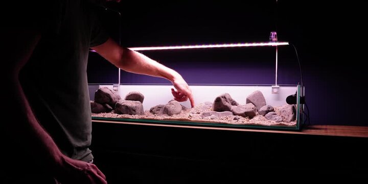 Aquascaping shallow aquarium