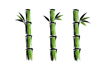 Artistic illustration of three green bamboo stems with leaves © icon_art