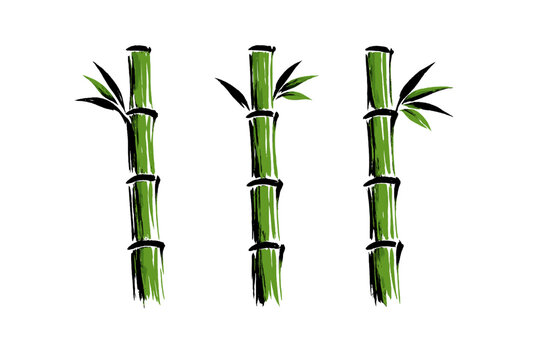 Artistic illustration of three green bamboo stems with leaves