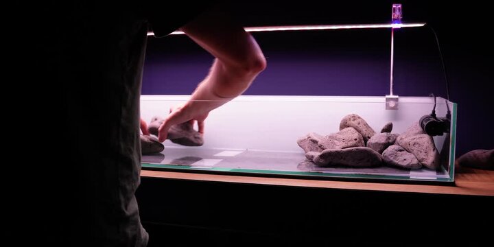 Aquascaping shallow aquarium