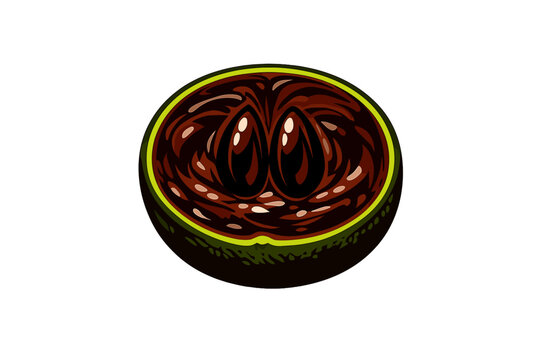 A stylized vector illustration of a halved black sapote fruit