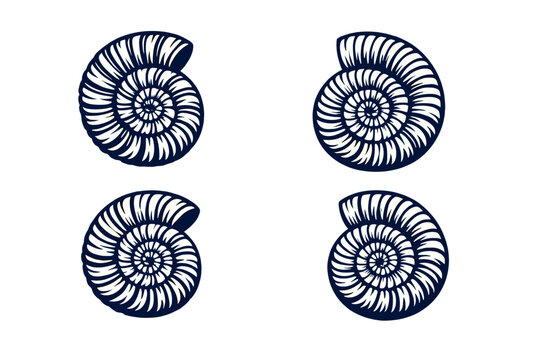 A set of four stylized ammonite fossil illustrations in a dark blue