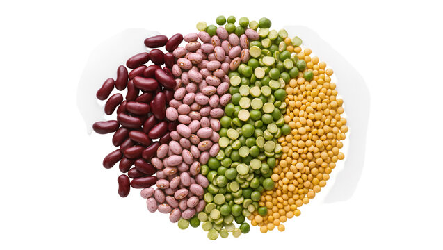 Isolated nutritious variety of dried raw legumes, different beans, split peas and yellow lentils