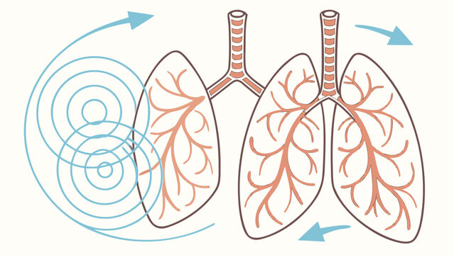 A detailed illustration of human lungs with bronchial tree and airflow