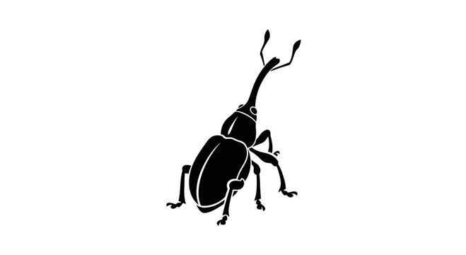 A simple black and white illustration of a beetle with distinctive antennae.