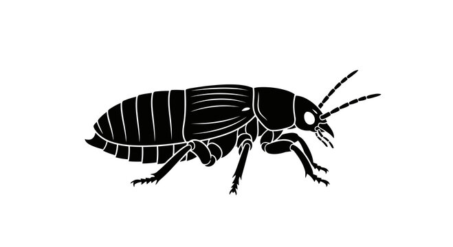 A simple black and white illustration of a cockroach viewed from the side.