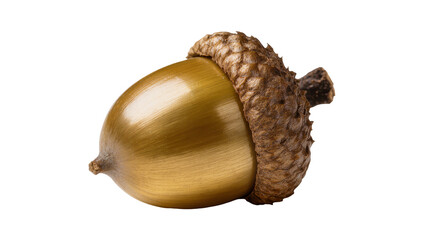Isolated close-up of a single natural acorn with its cap, showcasing autumn harvest © Maria