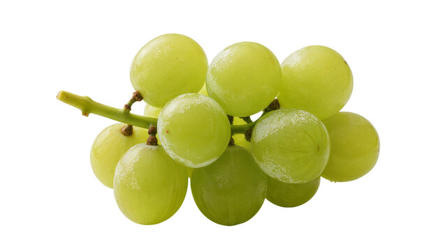 Isolated fresh green grapes bunch on stem, ripe, sweet, healthy, delicious fruit snack.