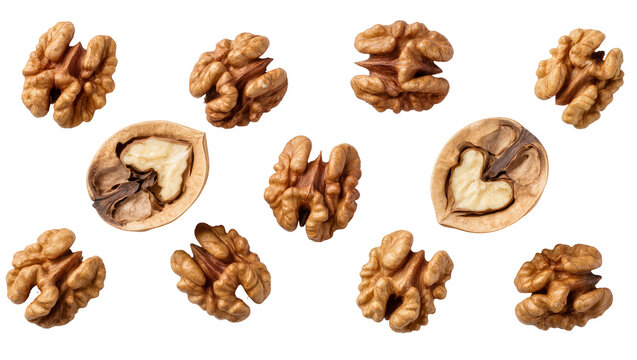 Isolated heap of walnuts and cracked shells with healthy edible kernels
