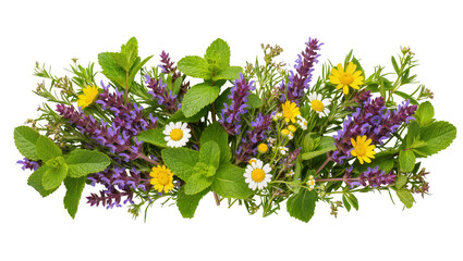 Isolated fresh bouquet of aromatic culinary herbs like mint and sage with wild meadow flowers © Maria