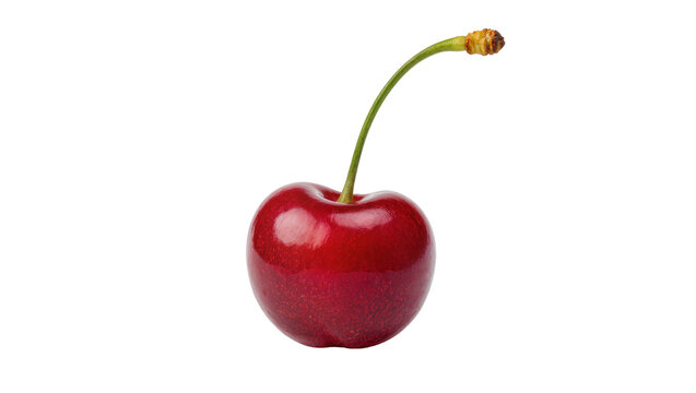 Isolated single ripe red cherry fruit with vibrant green stem, fresh juicy sweet summer berry