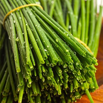 Freshly Washed Chives Bundled Together with Water Droplets.