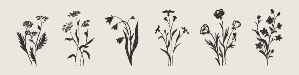 Set of hand drawn summer field flowers silhouettes, botanical ink flowers collection, vintage meadow plants illustration in charcoal sketch style © Anna Volkova