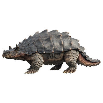 Ankylosaurus isolated
