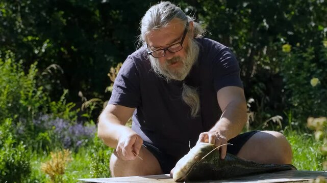 Senior bearded fisherman in glasses cleaning a large caught catfish with a knife outdoors