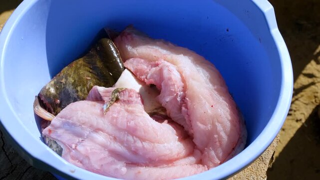 Top down view of senior fisherman hands cleaning small raw fish on a wooden board outdoors