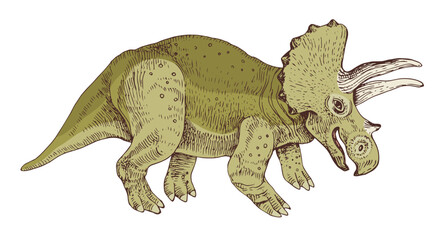 Triceratops dinosaur hand drawn vector © Marina Gorskaya