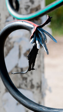 Curved metal wire with exposed ends near a painted post in bright daylight