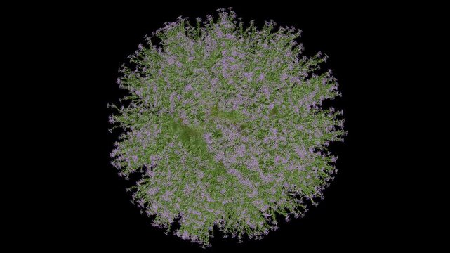 Schotti Flowers Sphere