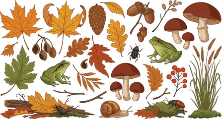 Autumn Forest Nature Set with Fall Leaves Mushrooms Frog Snail Acorns Pinecone Branches Woodland Vector Illustration © MdAbuSayed