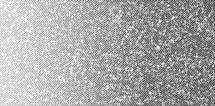 Abstract halftone wave vector background. Black and white engraving style texture with wavy lines and grain noise for retro poster and grunge design.