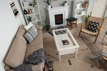 Naklejka premium Interior of living room with sofa, fireplace and green plants, top view