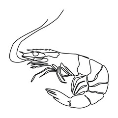 Fototapeta premium continuous one line art of fresh shrimp for seafood logo identity. Prawn mascot concept for Chinese restaurant icon. 