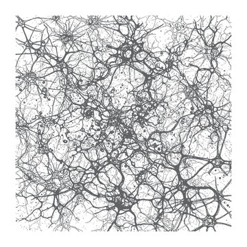 Neuron network connections in the brain with many synapses and dendrites  neuroscience concept