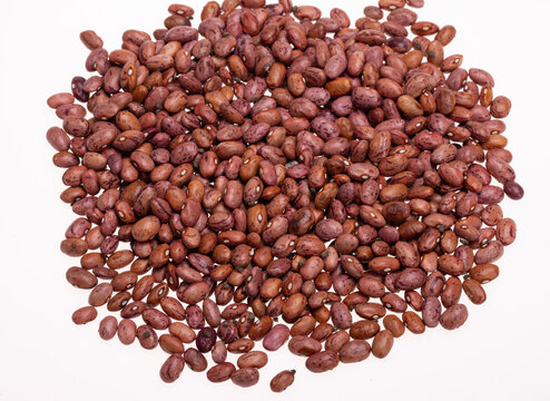 raw brown pinto kidney beans