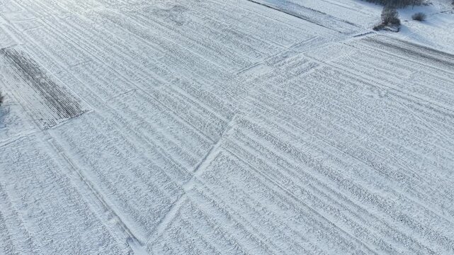 Frozen winter field with tractor trail patterns