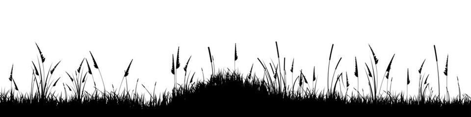 Fototapeta premium Meadow silhouette with grass, plants on plain. Panoramic summer lawn landscape with herbs, various weeds. Herbal border, frame element. Black horizontal banners. Vector illustration