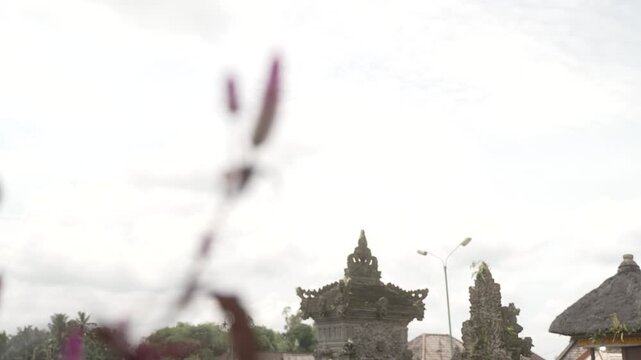 Close-up of Celosia argentea var. cristata commonly known as cockscomb in the foreground and the Pura Ulun Danu Bratan Temple in the background - focus pull from flower to temple rooftop reveal